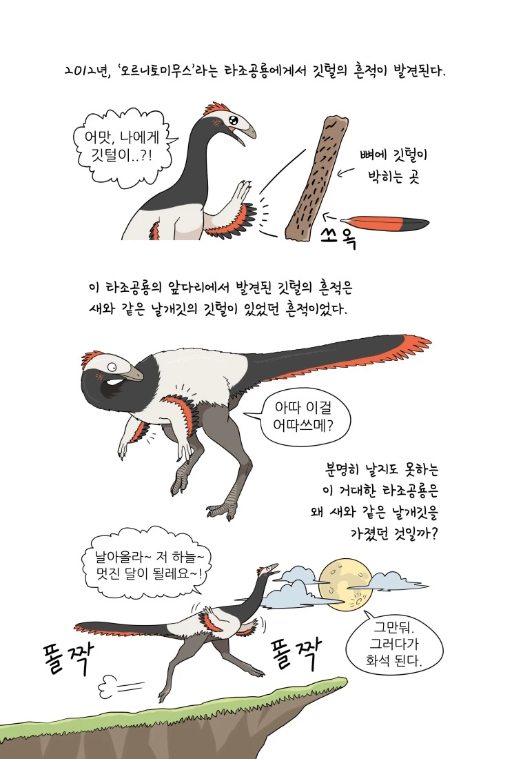 동족과 사귀는 만화 이미지 12