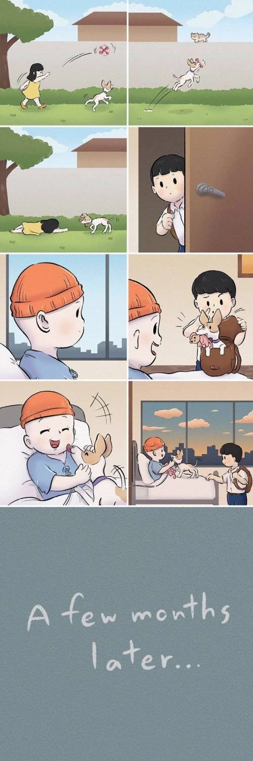 manga_303869_002_fd8da46c45f8.webp