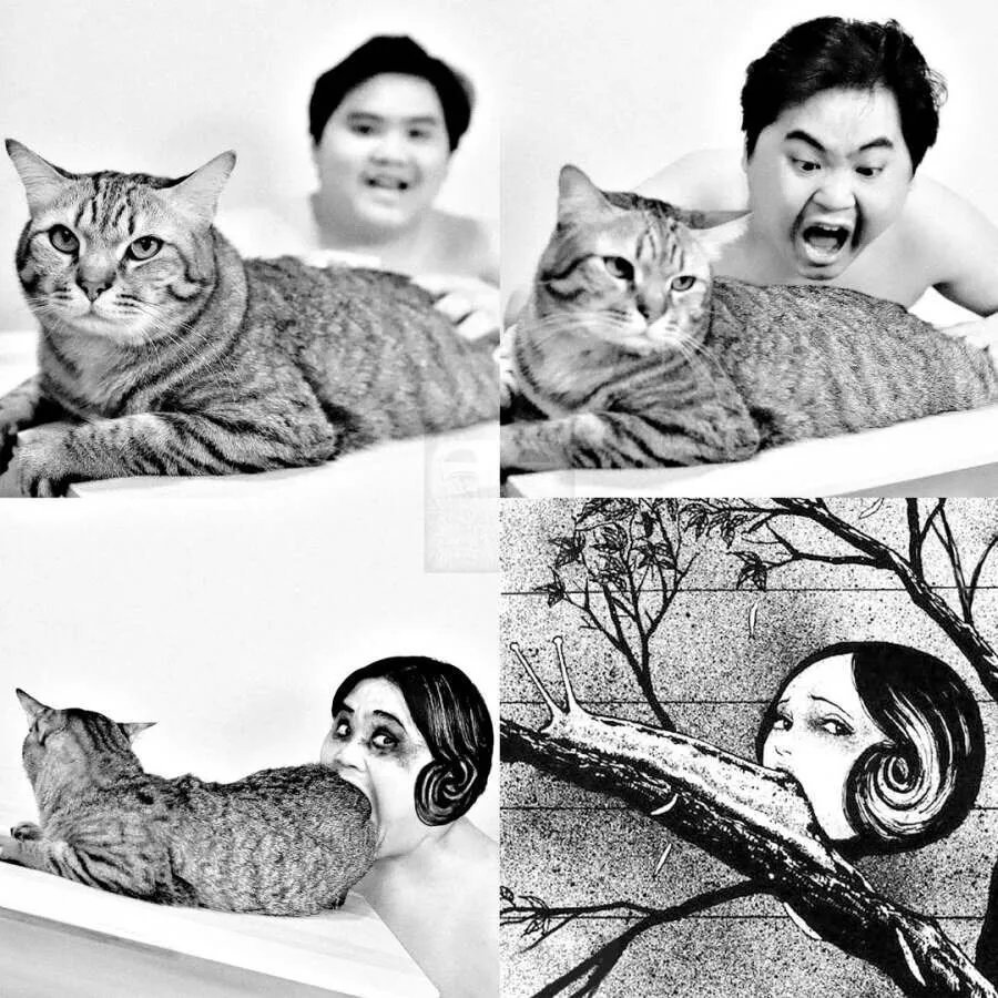 @) 헤어스타일 서로 바꾼 아사히 후유코 이미지 14