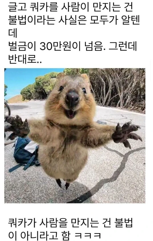 [@] 야구 안했어!.manhwa 이미지 6