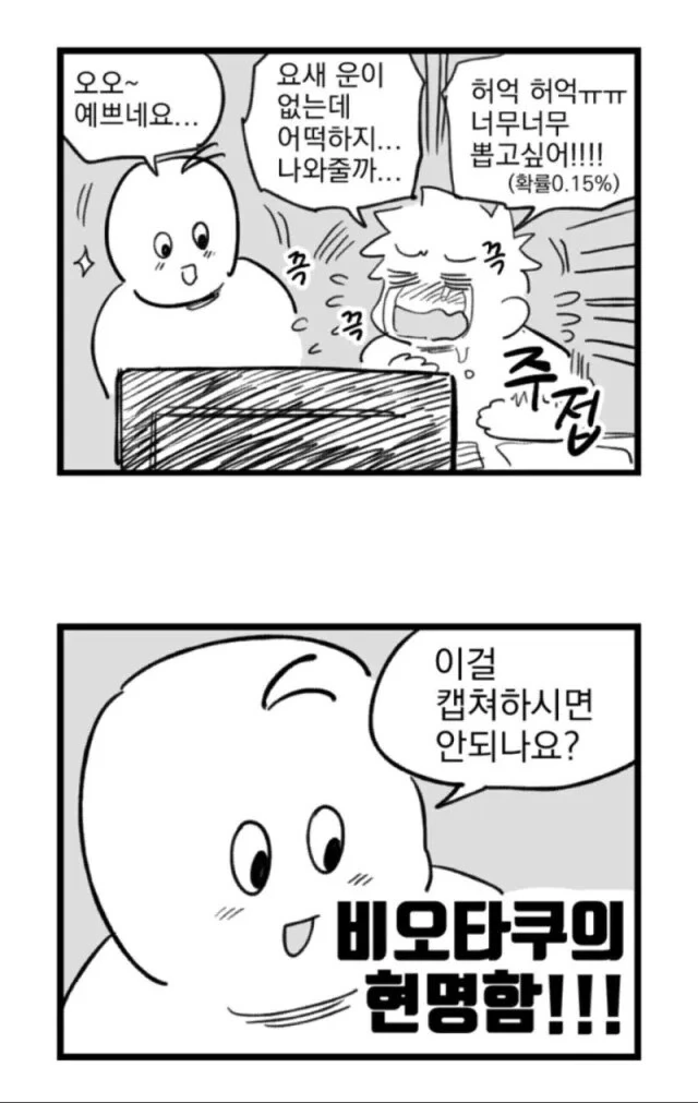 오빠는끝) 바니걸이 된 마히로눈나 이미지 19