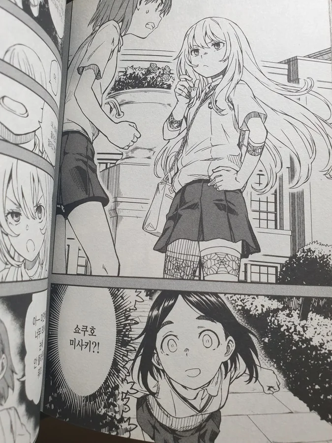 눈나가 상자 안에 있는것 알려주는 manga 이미지 10