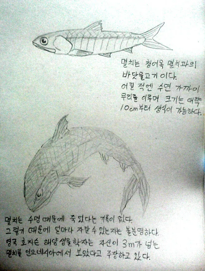 애들 보는 만화의 흔한 할머니 특징 이미지 7