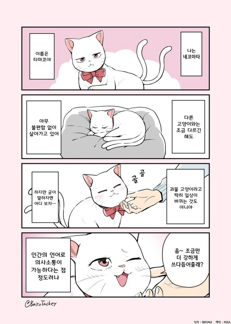 [말딸] 뭔가 이상한게 왔다 이미지 8