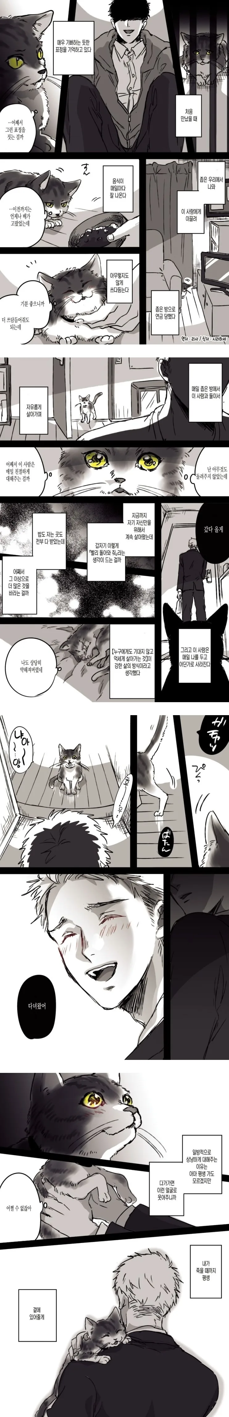 원신) 바니걸 행자만화.manga 이미지 10