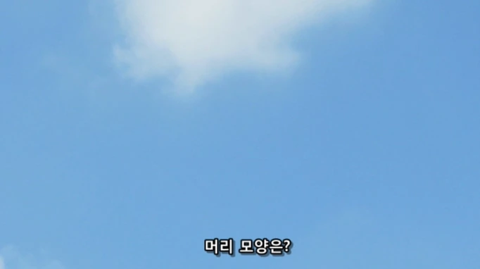 여자아이가 미아가 된 남자아이를 도와주는 만화 - 이미지 6