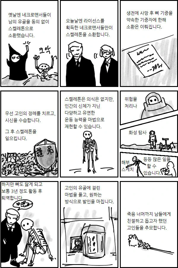 네크로멘서의 합법화.manhwa