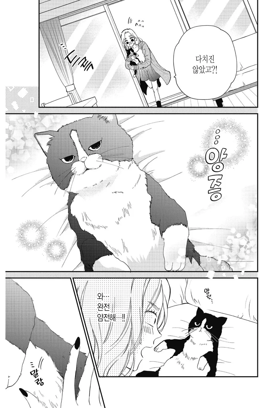 길고양이 줍는 만화 - 이미지 2