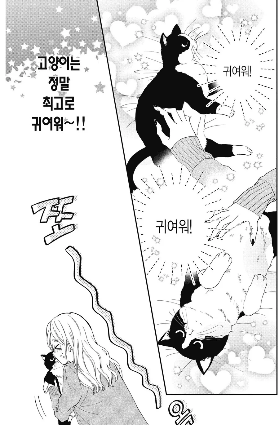 길고양이 줍는 만화 - 이미지 4