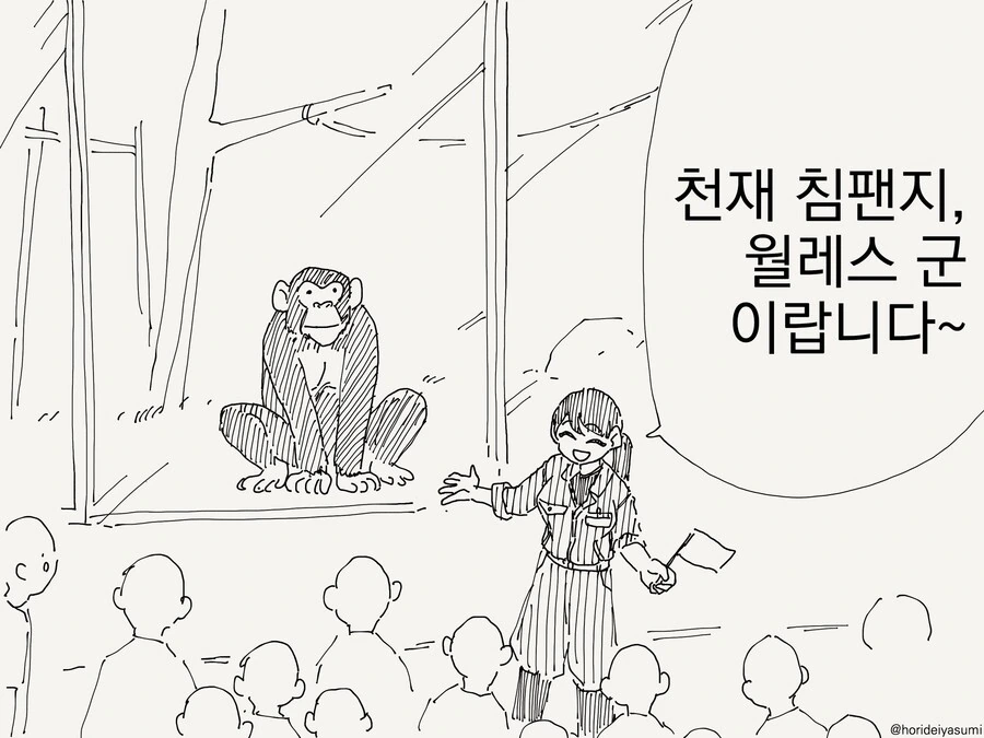 천재 침팬치 윌레스군.manhwa