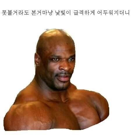 고전명작 : 꿈속에서 로니콜먼 만난 만화 - 이미지 13
