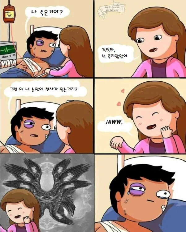 죽다 살아났는데 천사가 보이는.manhwa