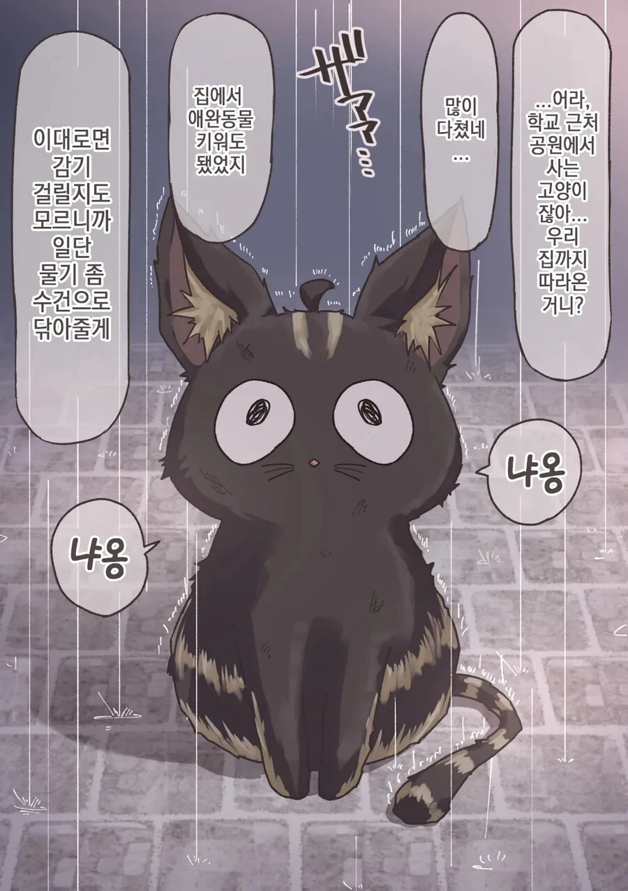 키우던 고양이가 사람으로 변할 수 있는.manhwa - 이미지 2