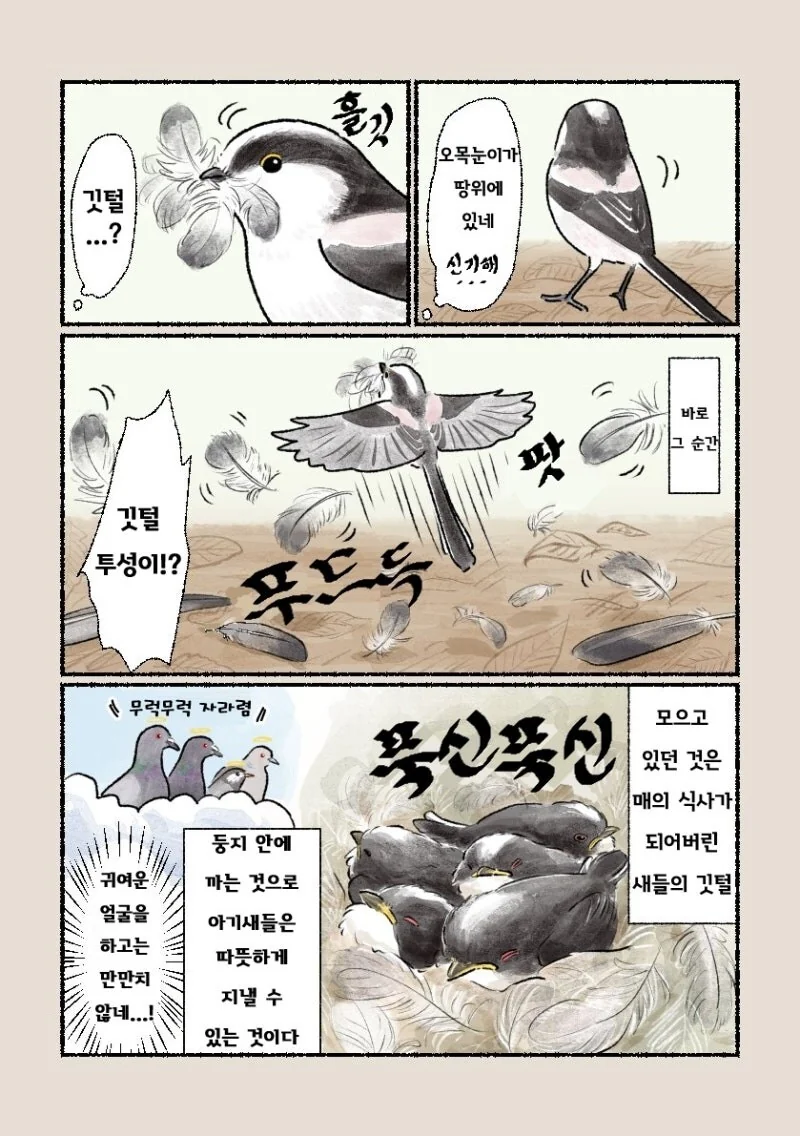 오목눈이 만화 - 이미지 3
