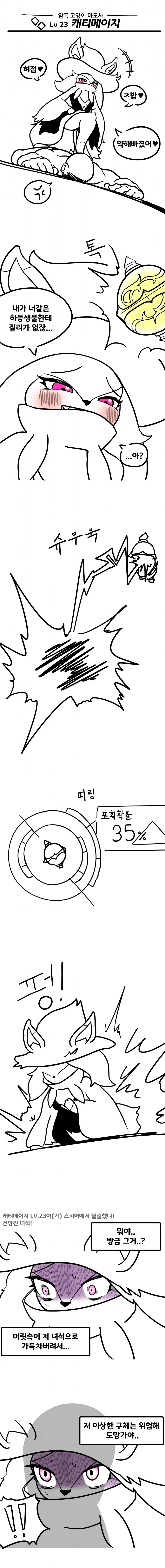 캐티메이지 잡는 만화