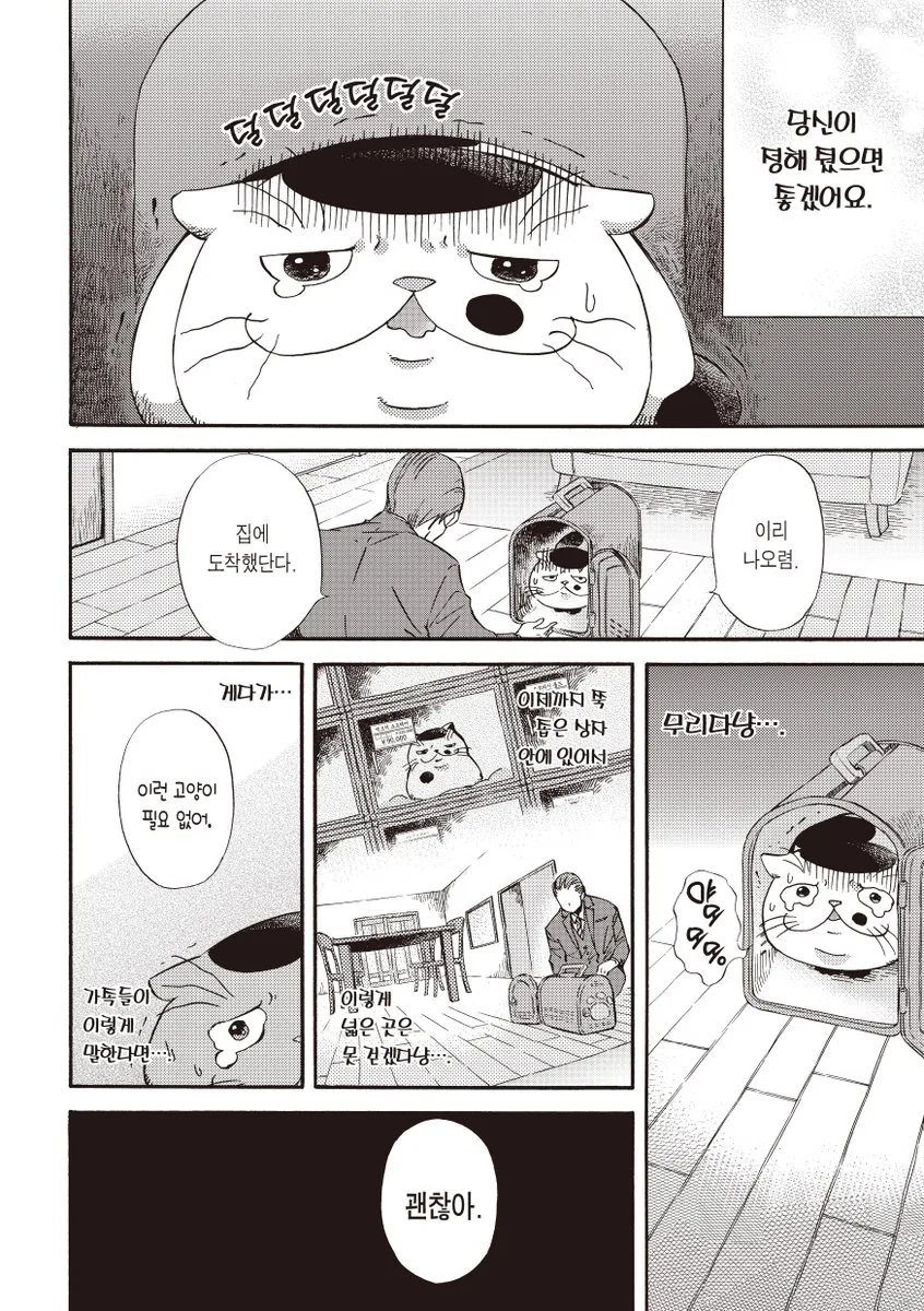 아저씨와 고양이.manhwa - 이미지 6